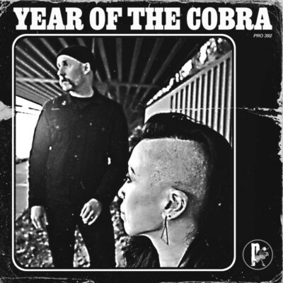 YEAR OF THE COBRA: “Year of the cobra”