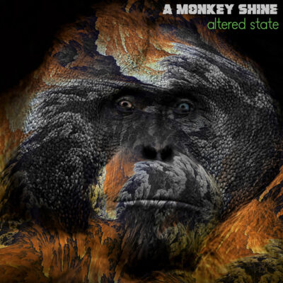 Γνωρίστε τους A MONKEY SHINE!