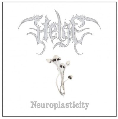 HELGE: “Neuroplasticity”