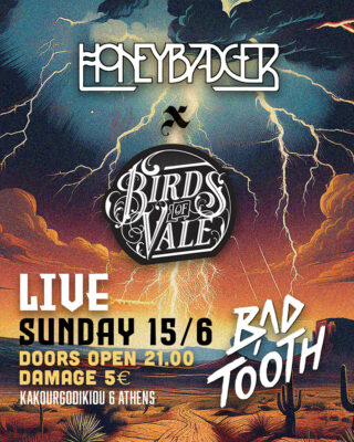 Honeybadger & Birds of Vale LIVE @ Bad Tooth