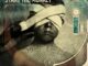 MASS CULTURE / INSECT RADIO / START THE MONKEY